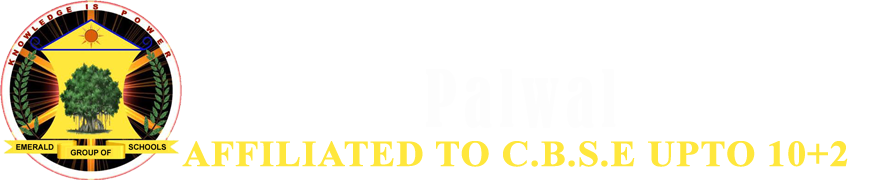 Emerald International School